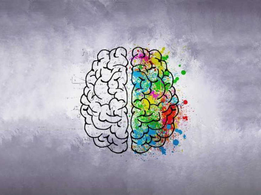 Test/Krijues ose logjik, cila anë e trurit tuaj është më dominante?