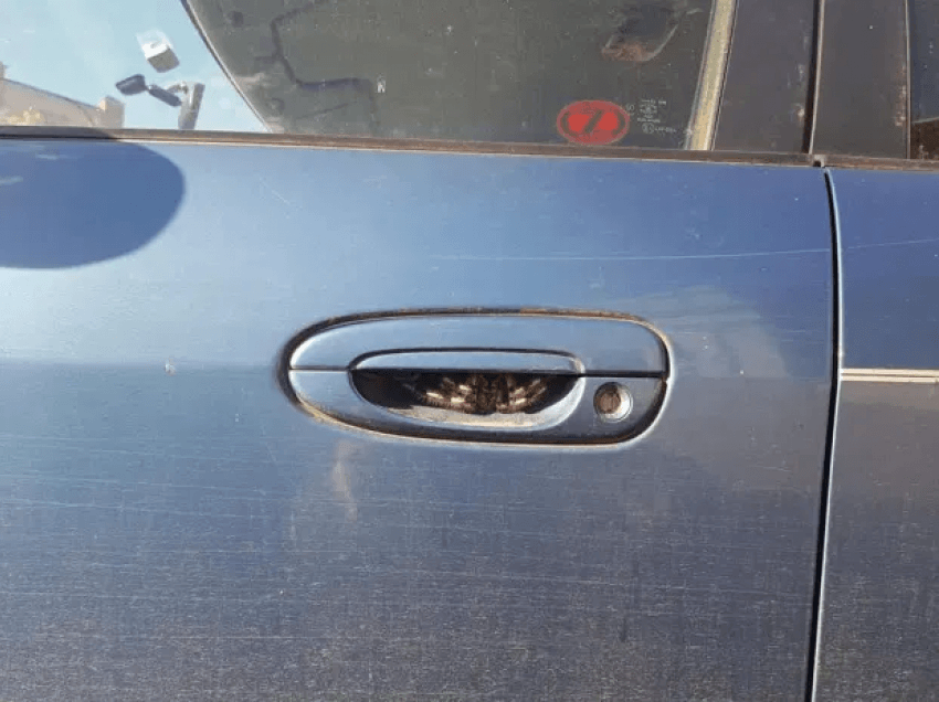Gruaja australiane nuk prek më automjetin pas zbulimit të tmerrshëm te doreza e derës