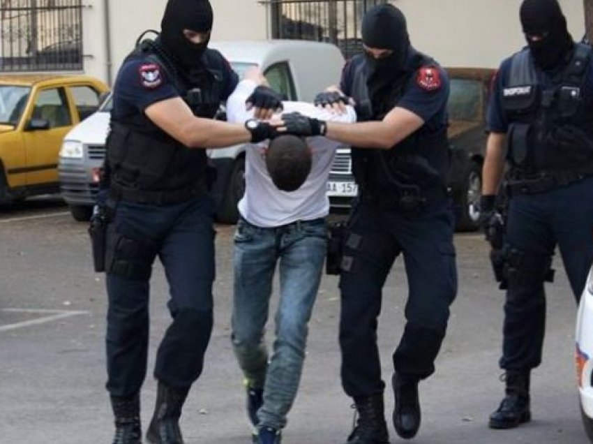 Operacion për kultivimin e kanabisit në Vlorë, arrestohen disa persona