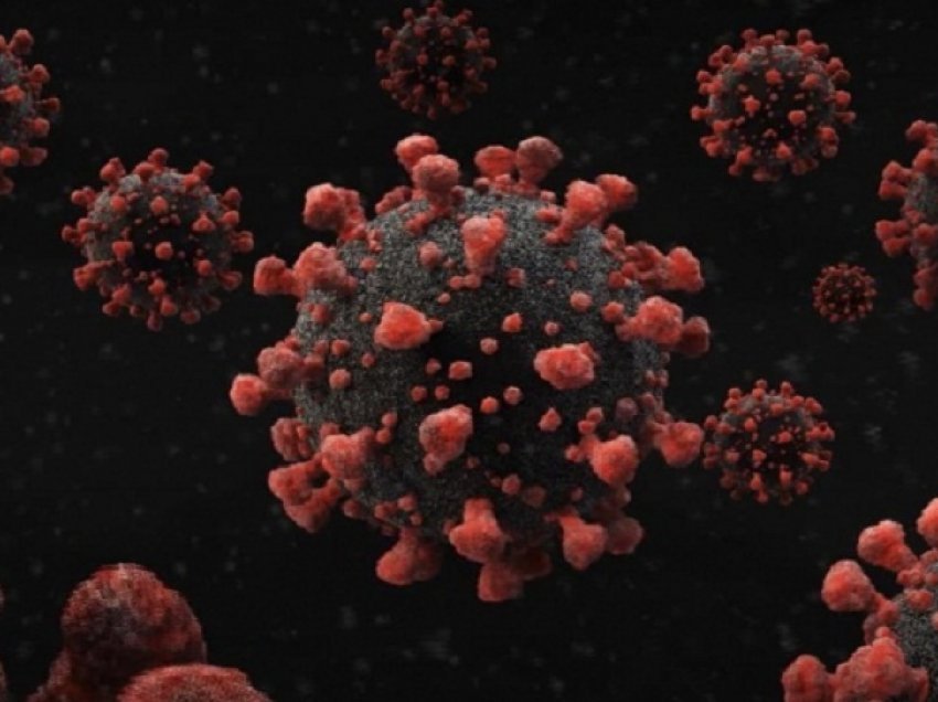 Një vit më vonë… OBSH nis hetim për origjinën e virusit