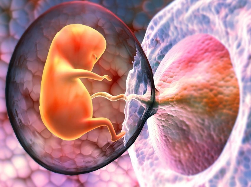 Mjekët bëjnë një zbulim të frikshëm, gjendet mikroplastikë brenda embrionit