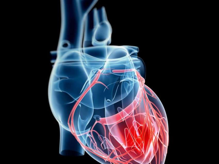 6 shifrat që tregojnë shëndetin e zemrës suaj, si të kuptoni analizat