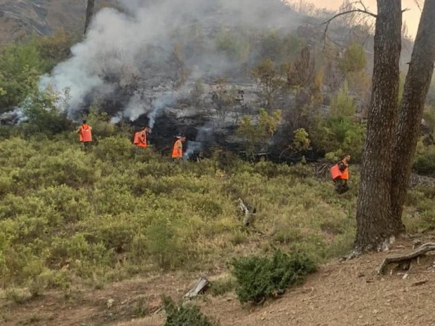 Ministri Peleshi jep lajmin e mirë: Janë neutralizuar të gjitha vatrat serioze të zjarrit