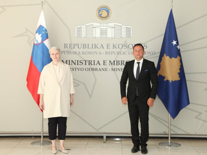 Mehaj pret në takim ambasadoren e re të Sllovenisë në Kosovë