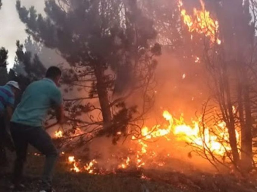 6 vatra zjarri aktive në të gjithë vendin, vijon beteja me flakët