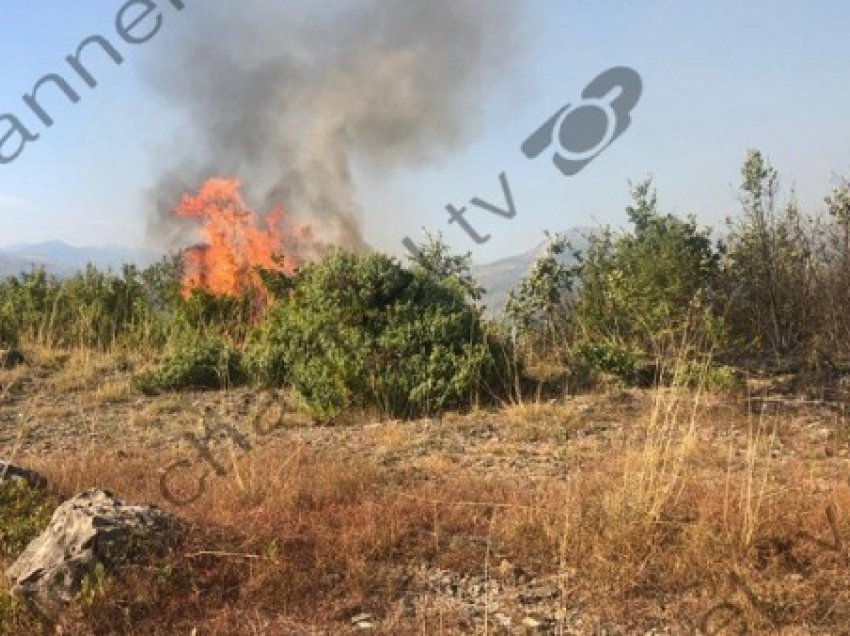 Shqipëri, 15 vatra aktive me zjarreve