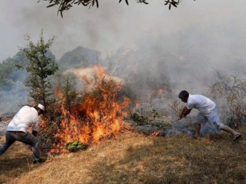Zjarr i madh në fshatin Aliko në Shqipëri