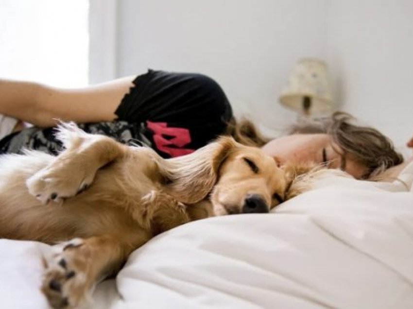 Njerëzit janë më të lumtur kur flenë me qenin e tyre sesa me partnerin