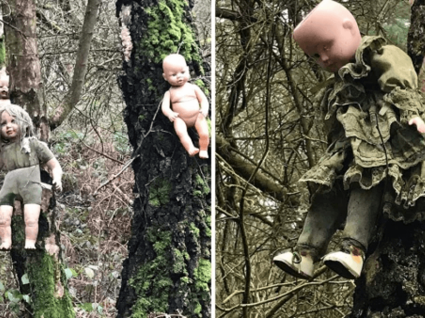 Koleksioni i kukullave të frikshme të ngulura në pemët e parkut që po tmerron banorët lokal