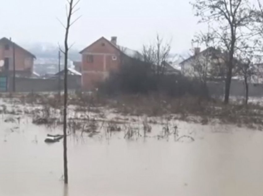 Reshjet shkaktuan dëme në bujqësi dhe ekonomi familjare në Rahovec