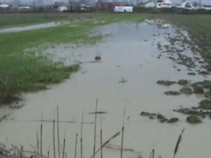 Në Vlorë reshjet shkaktojnë probleme në shtëpi dhe në rrugë