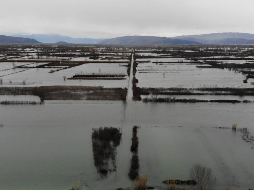 Përmbytjet, Bashkia e Shkodrës kërkon shpalljen e fatkeqësisë natyrore