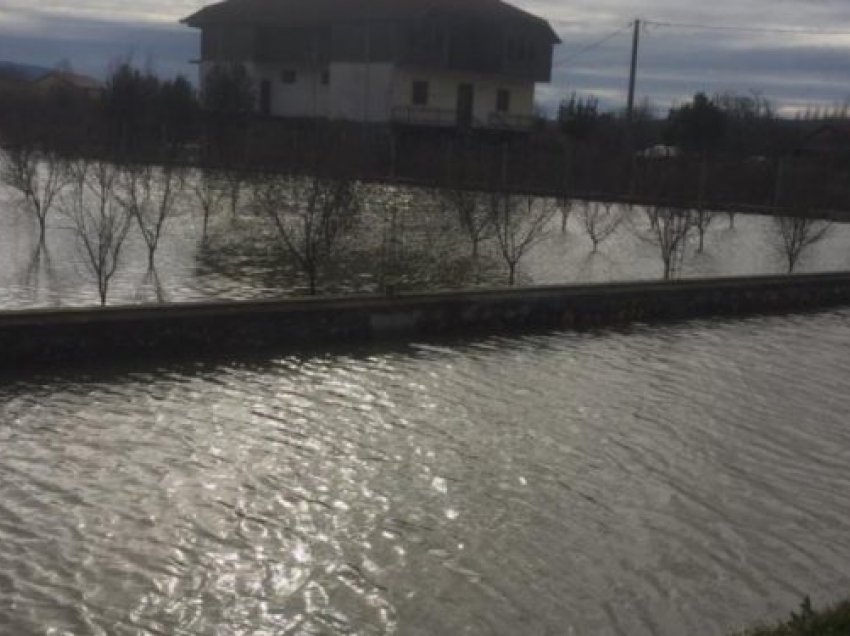 Përmbytjet në Shkodër/ Ademi këmbëngul: Të shpallet gjendja e fatkeqësisë natyrore. 250 banesa të rrethuara nga ujë
