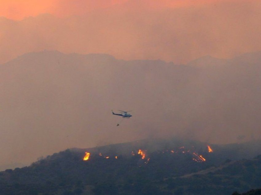 Zjarr i madh në pyll, Qipro thirrje BE për ndihmë
