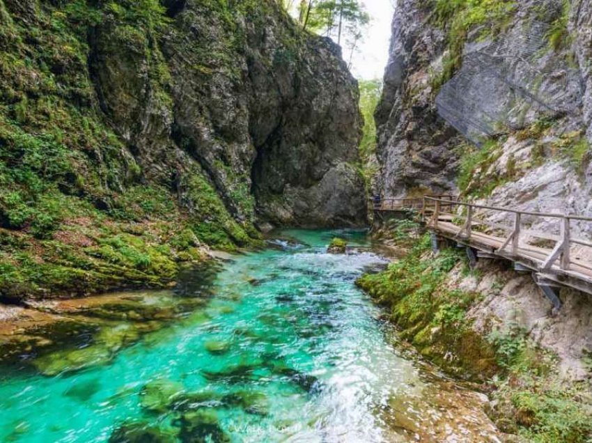 Referendumi për ligjin e ujit në Slloveni, test për Qeverinë