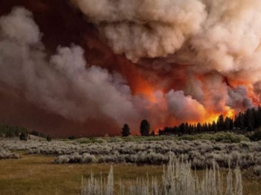 Kaliforni: Pamje apokaliptike nga zjarret 