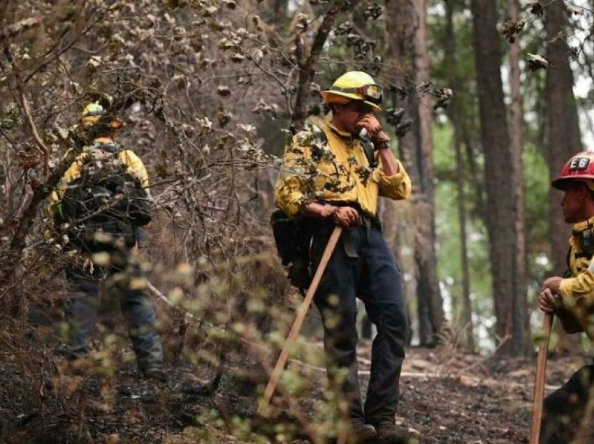 Disa zjarrfikës amerikanë u dogjën në përballje me zjarret në Kaliforni