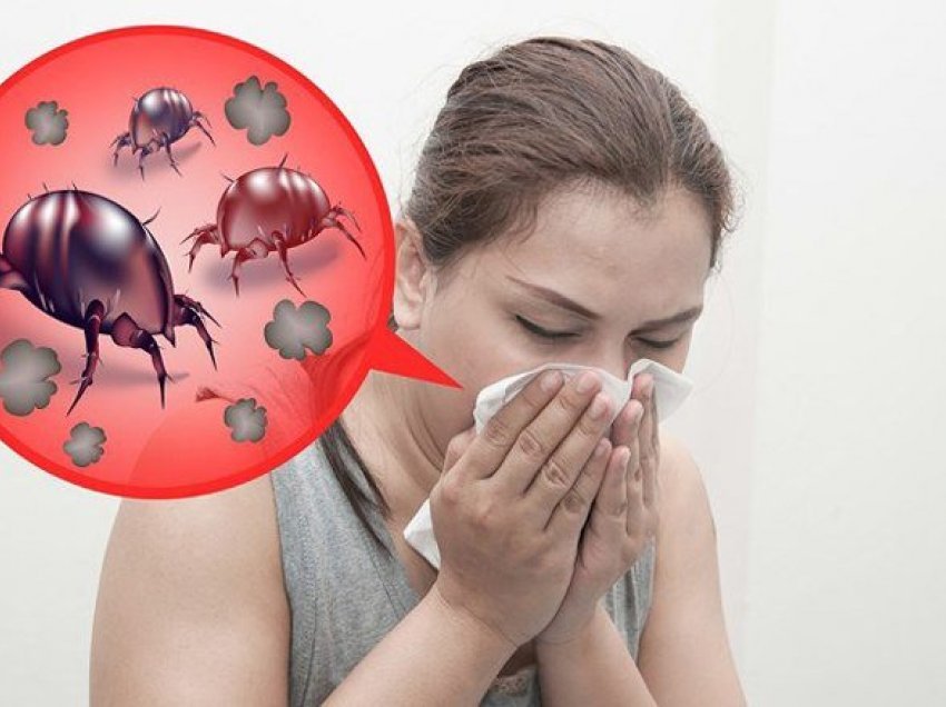 Çfarë mund të bëni dhe cilat janë simptomat e alergjisë ndaj tenjave ?