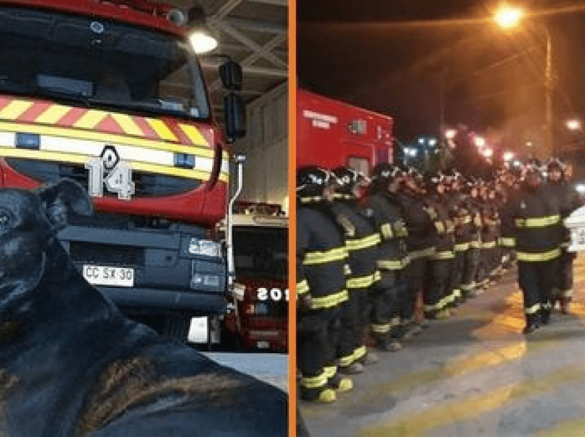Zjarrfikësit bëjnë homazhe në funeralin e qenit të stacionit, që ndërroi jetë 