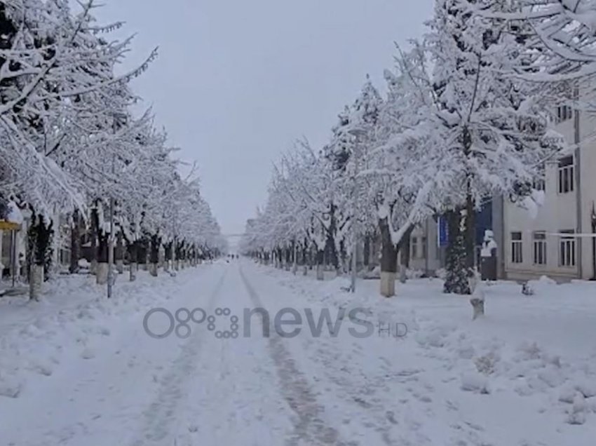 Dibra nën pushtetin e borës, shumë fshatra pa energji
