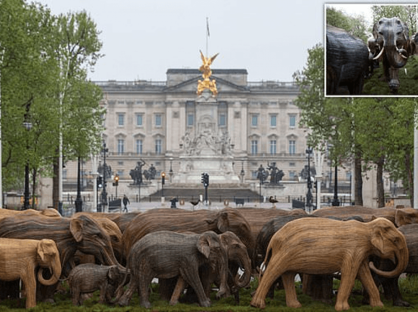 Tufa e 100 elefantëve të skalitur me përmasa jetësore, shfaqen para pallatit mbretëror në promovim të bashkëekzistencës