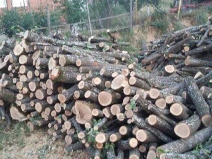 Kthehet interesimi për drutë, qytetarët ankohen për çmimin e lartë