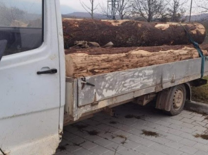​Dy të arrestuar për prerje ilegale të pyjeve në Bajshe të Istogut