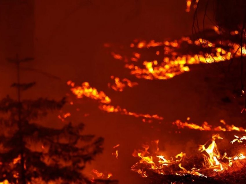 Zjarret në Kaliforni i afrohen Liqenit Taho pas evakuimit masiv