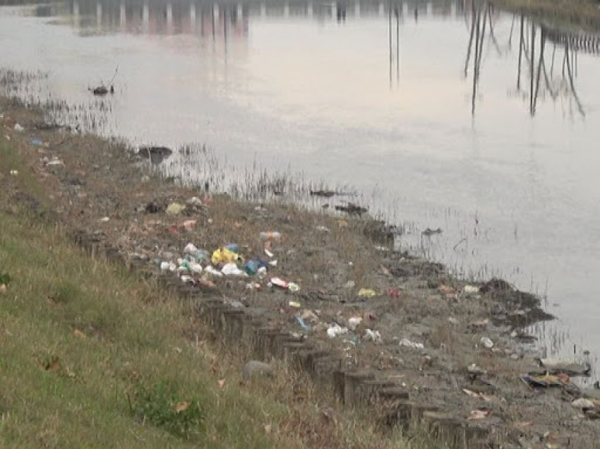 Drini, lumi i ujërave të zeza/ Ndotje alarmante në zonën e Lezhës! Bizneset dhe banesat shkarkojnë mbetjet në lumë