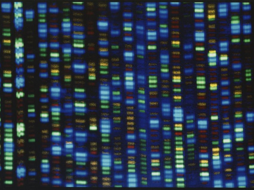 Arritje e madhe për njerëzimin, kompletohet sekuencimi 20 vjeçar i ADN-së