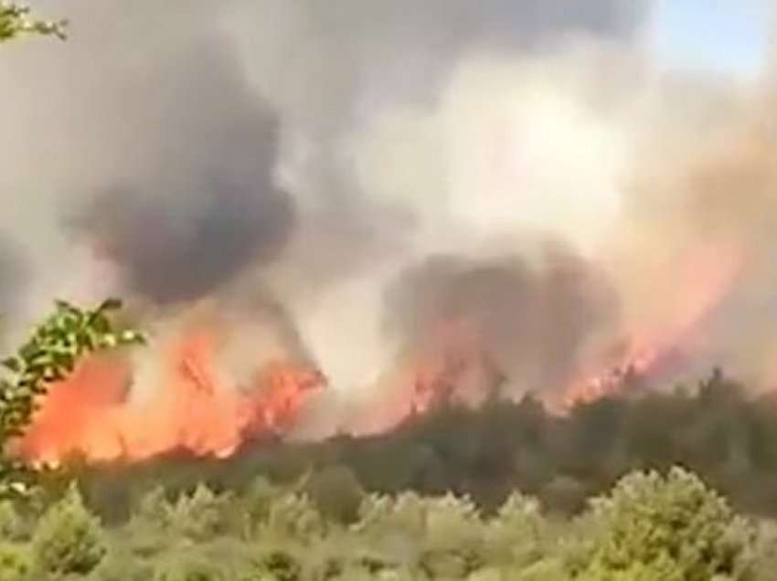 Nami në Shqipëri, 19 vatra zjarri në 24 orët e fundit