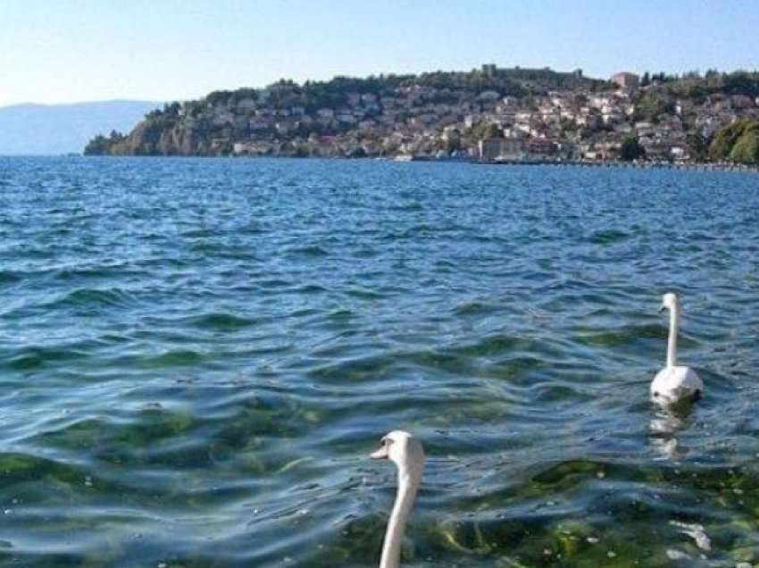 Përgatitet koncesion i ri për peshkim në liqenin e Ohrit