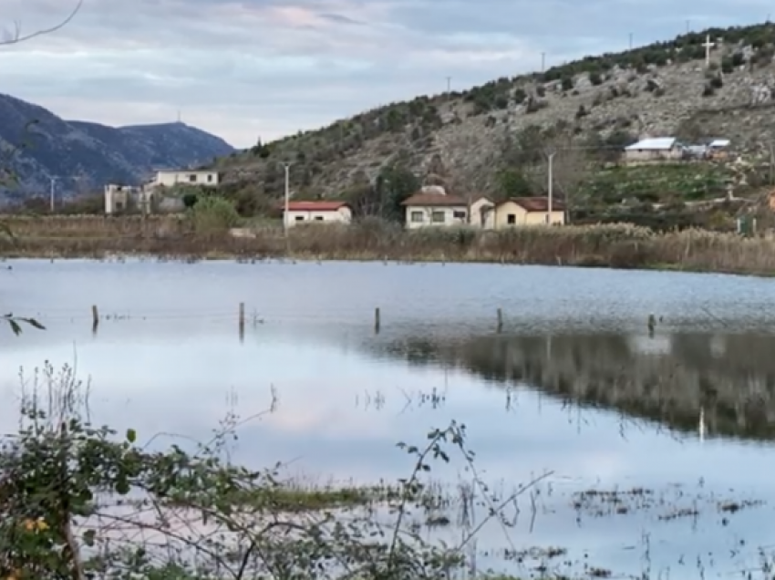 Reshjet e shiut/ Qindra hektarë tokë të përmbytura në qarkun e Lezhës