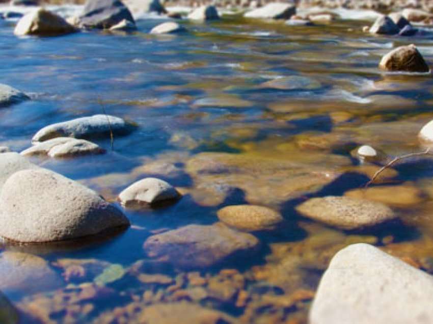 Lumenjtë janë të ndotur nga medikamentet