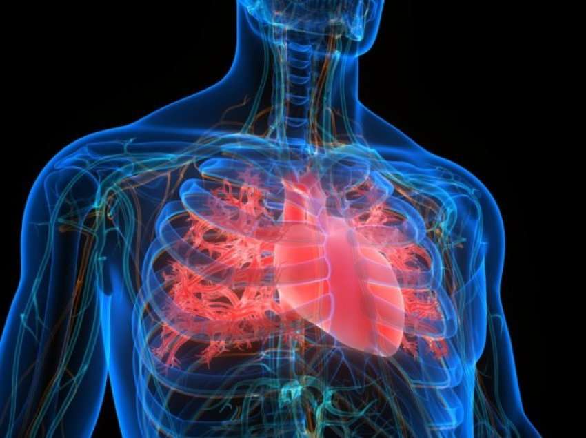Faktori i ri që rrit rrezikun e sëmundjeve të zemrës