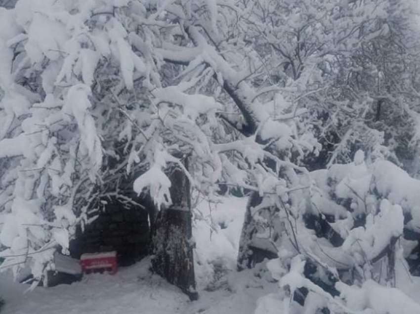 Parashikim nga DPHM: Nesër priten reshje lokale të borës në Maqedoni