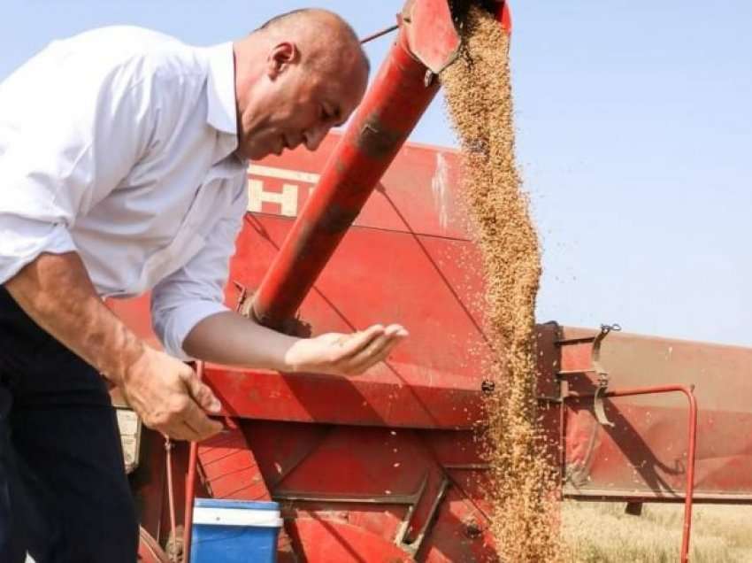 Nis sezoni i korrje-shirjeve, Haradinaj: Beteja për bukën është interes strategjik për vendin