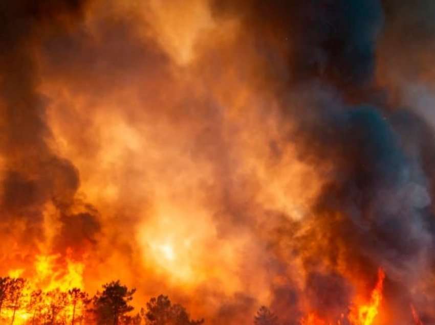 VOA/ Zjarret përvëlojnë Francën dhe Spanjën; shtohen vdekjet nga temperaturat e larta