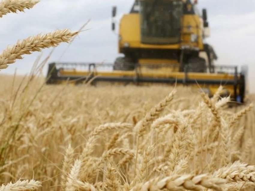 Kina përshëndet marrëveshjen për grurin: Jepini fund luftës sa më parë