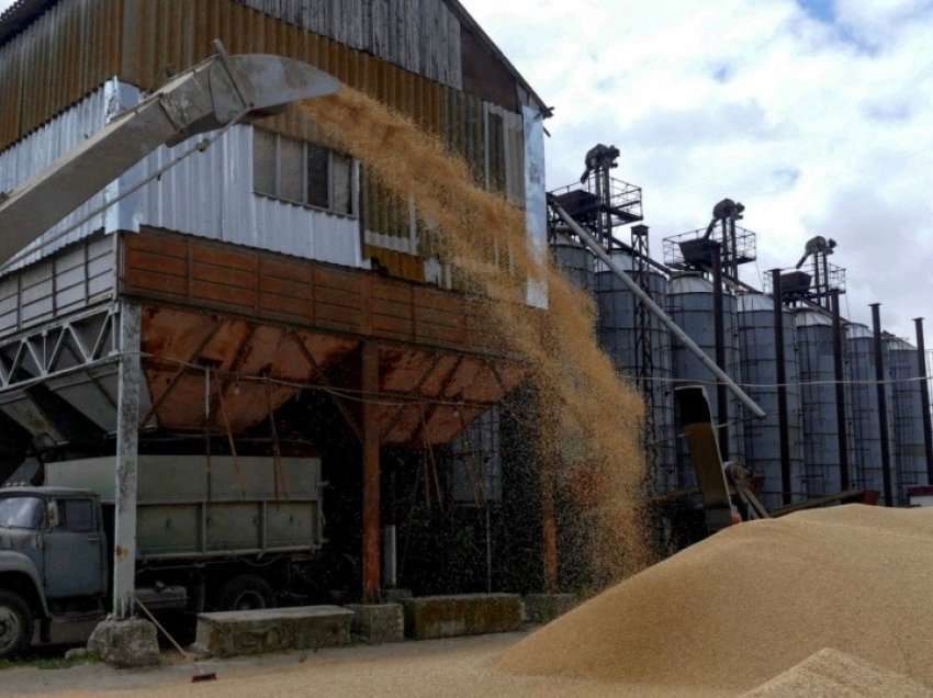 Rëndësia e marrëveshjes për drithin mes krizës globale të ushqimit