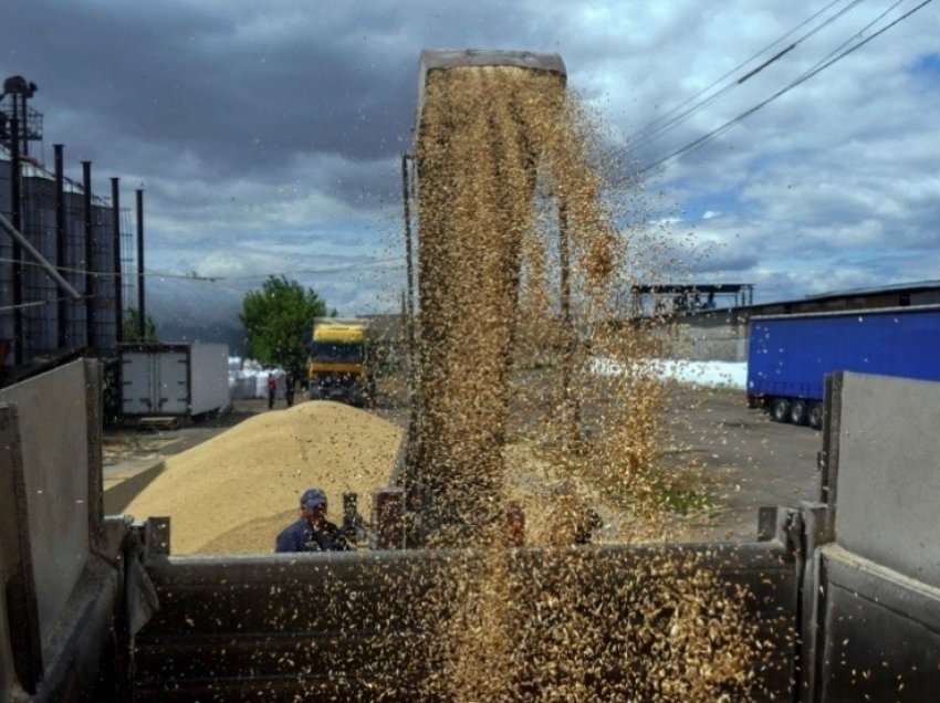 OKB: Eksporti i drithit ukrainas duhet të rifillojë brenda pak ditësh