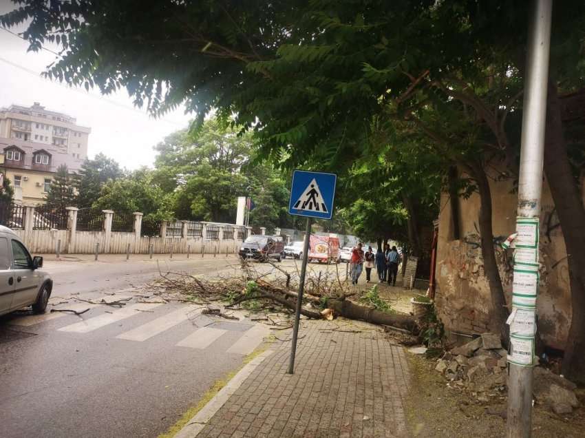 Erërat e forta rrëzojë lisin edhe në rrugën afër Muzeut në Prishtinë