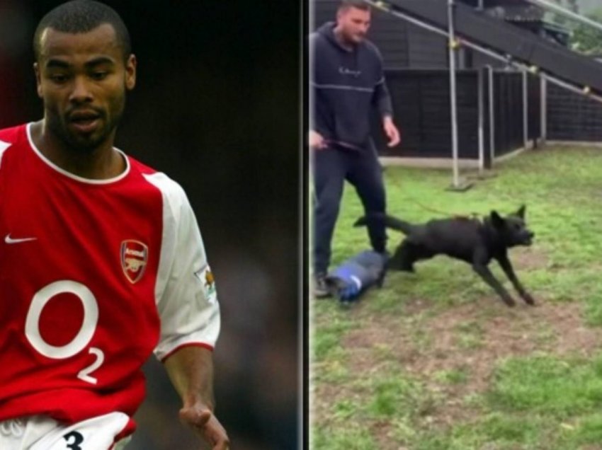 Cole shpenzon mbi 20,000 euro për një qen