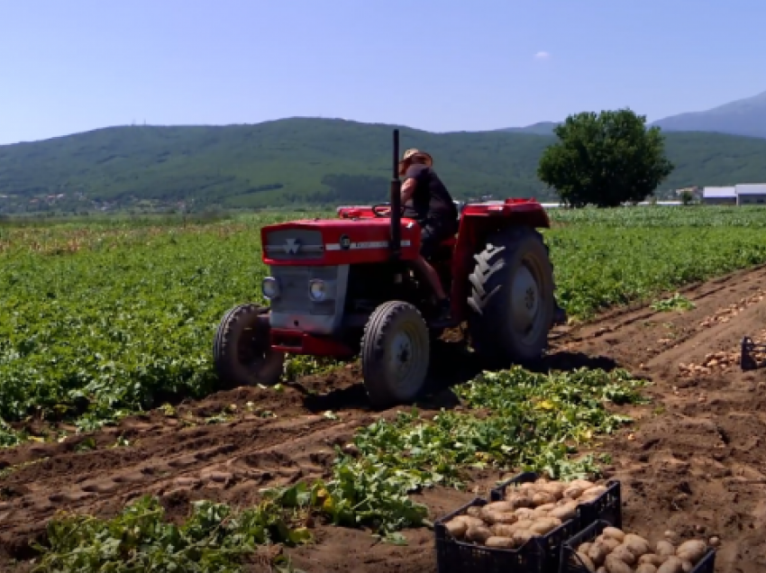 Çmimet e naftës rrezikojnë bujqit e Kosovës