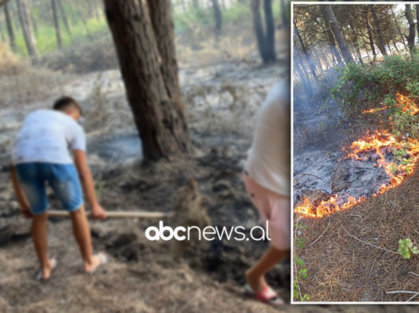 Zjarr në pyllin me pisha në Spille, rrezikohen disa biznese dhe banesa