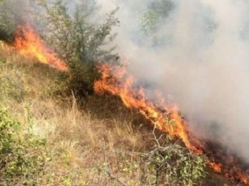 Ndezi zjarr për hapjen e kullotave dhe dogji pyllin, në pranga 60-vjeçari