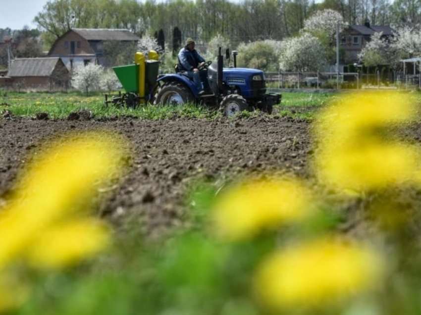 Pavarësisht luftës, Ukraina eksporton mbi 1 milion ton drithëra në prill