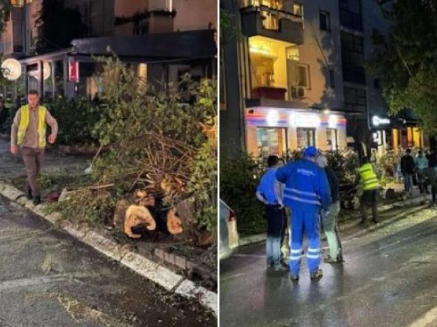 Stuhia e shiut në Prishtinë rrëzon një lis në rrugën ‘Fehmi Agani’