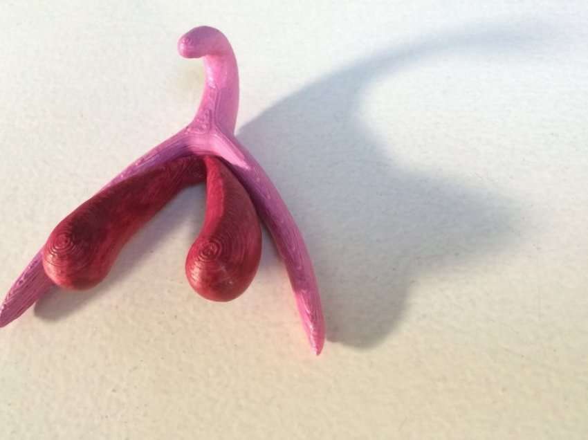 Klitoris: Gjithçka që duhet të dini për të