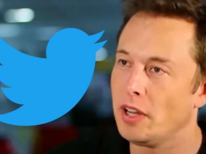Sondazhi i Musk, shumica votuan për “PO” – Twitter do të ofrojë amnisti të përgjithshme për llogaritë e pezulluara